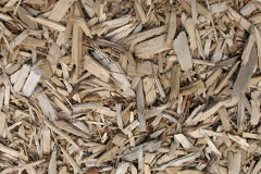 biomass boilers Crapstone